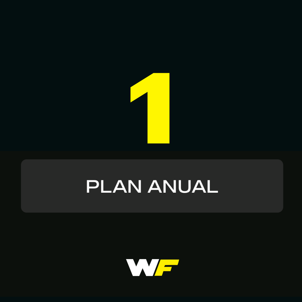 Plan Anual