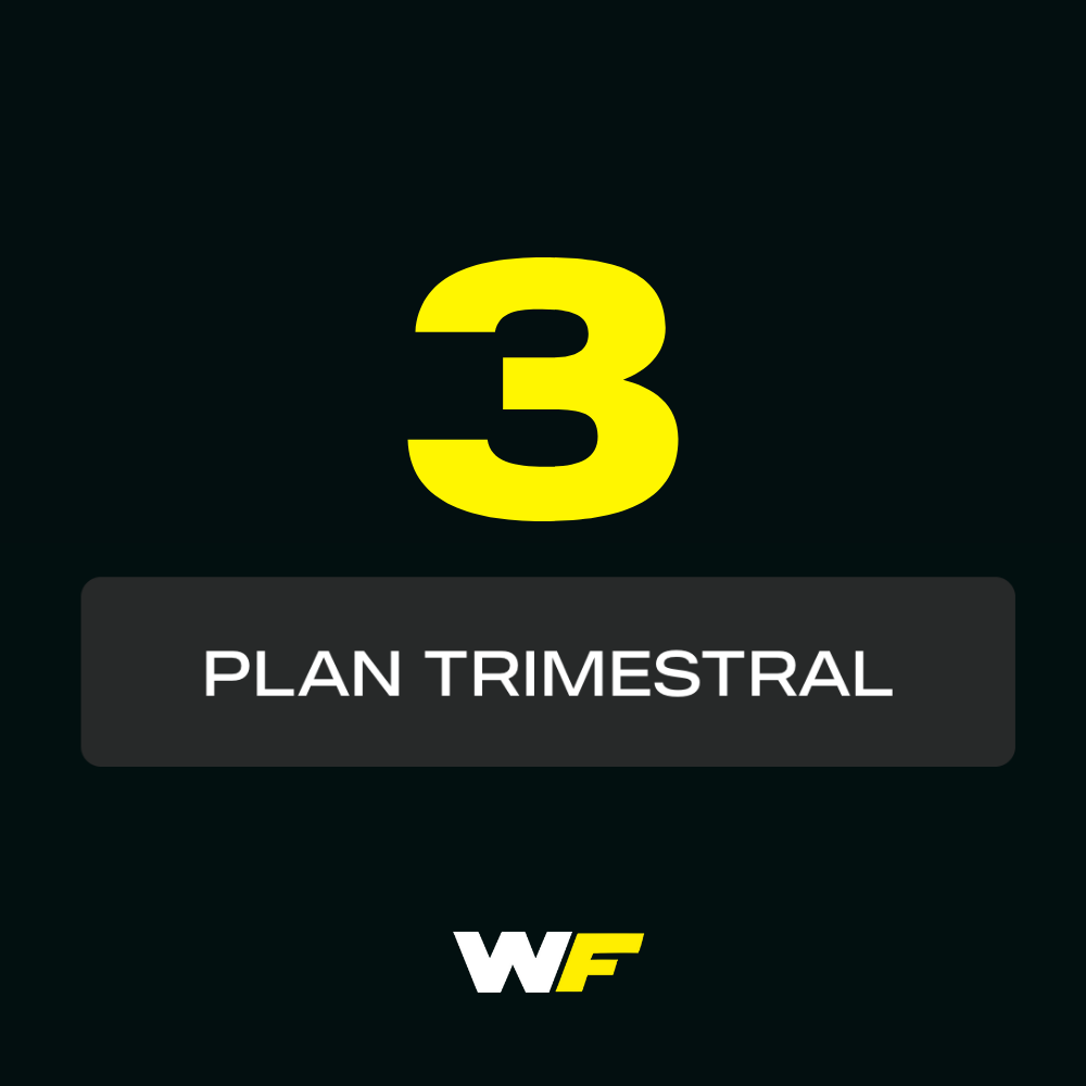 Plan Trimestral