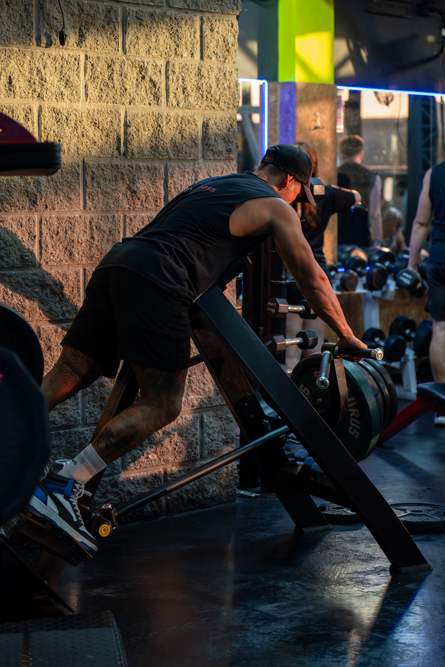 Window Fitness-2