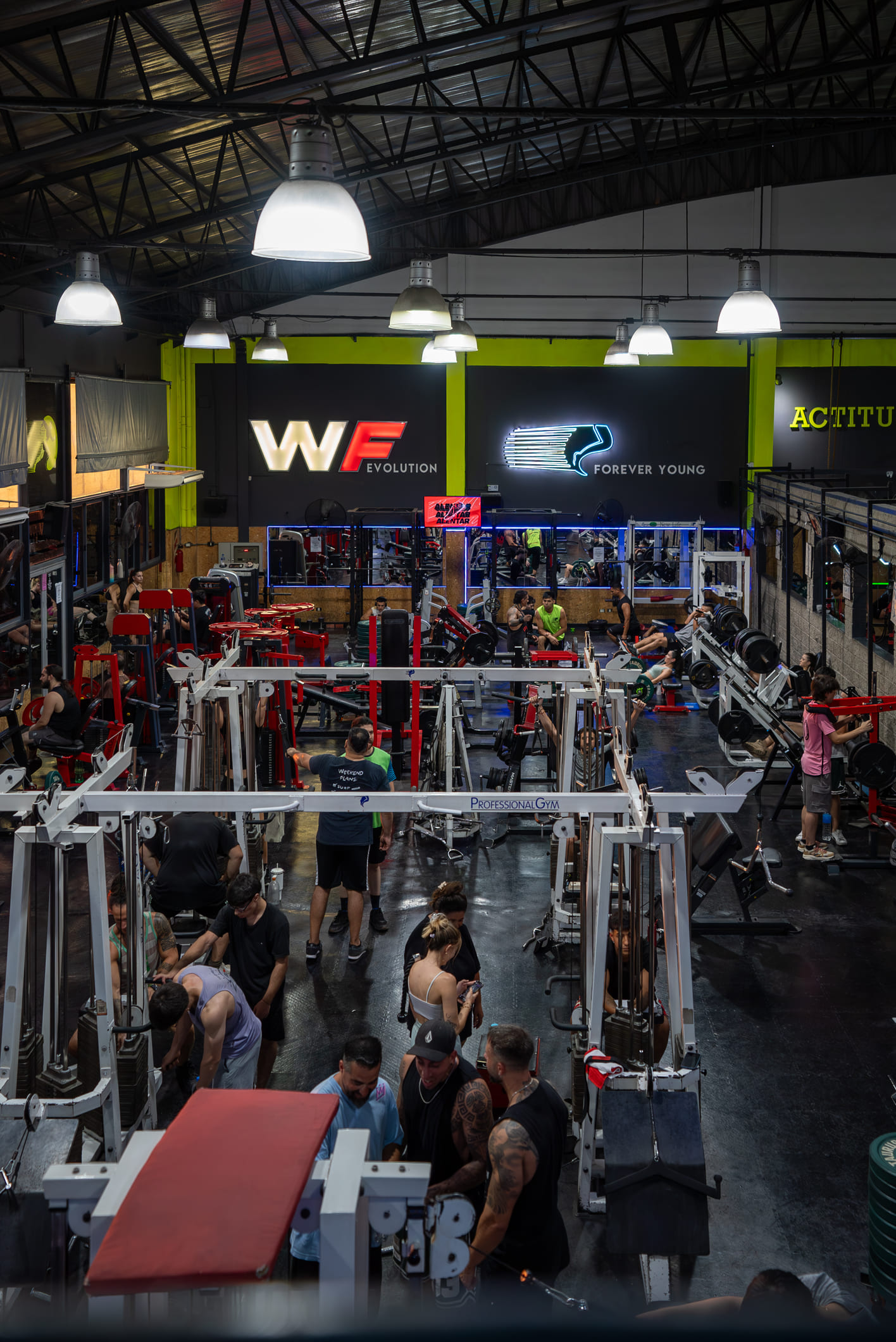 Window Fitness-7